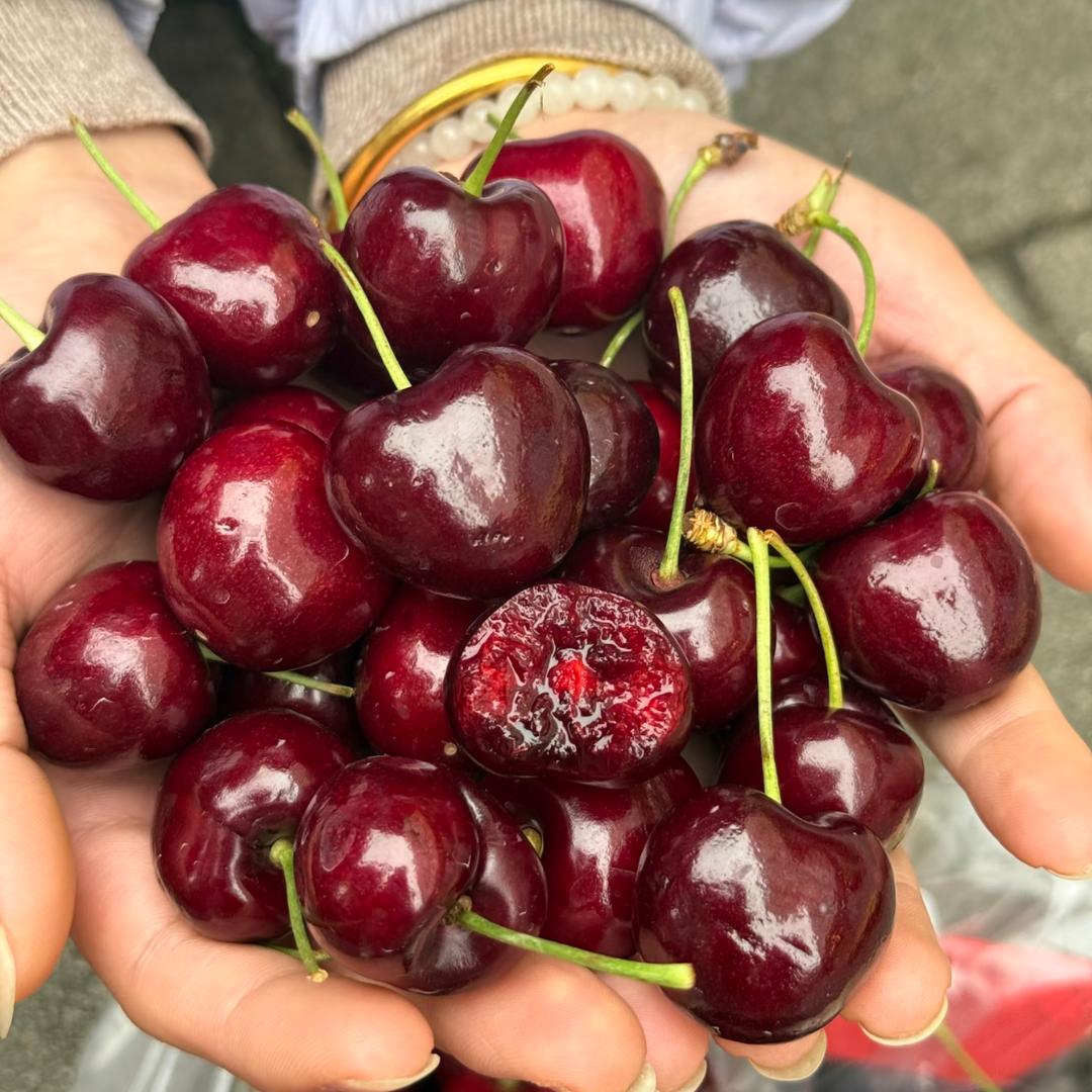 车厘子明天到！