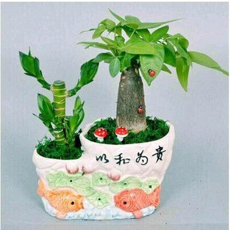 郑州曾曾全屋定制加工厂（全国招商）