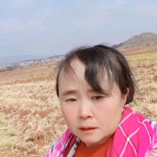 蝶恋花香