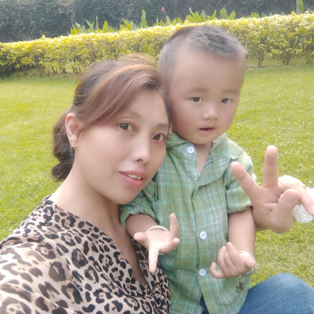 一枝梅，