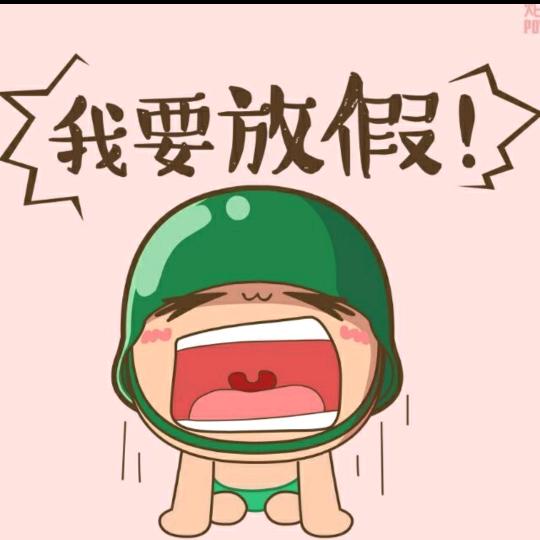 爱开车的喜子