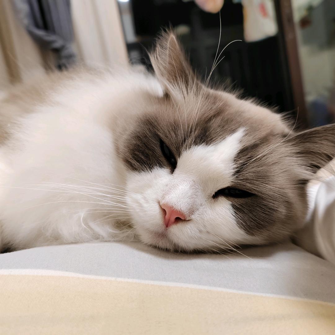 家有来宝🥰🥰