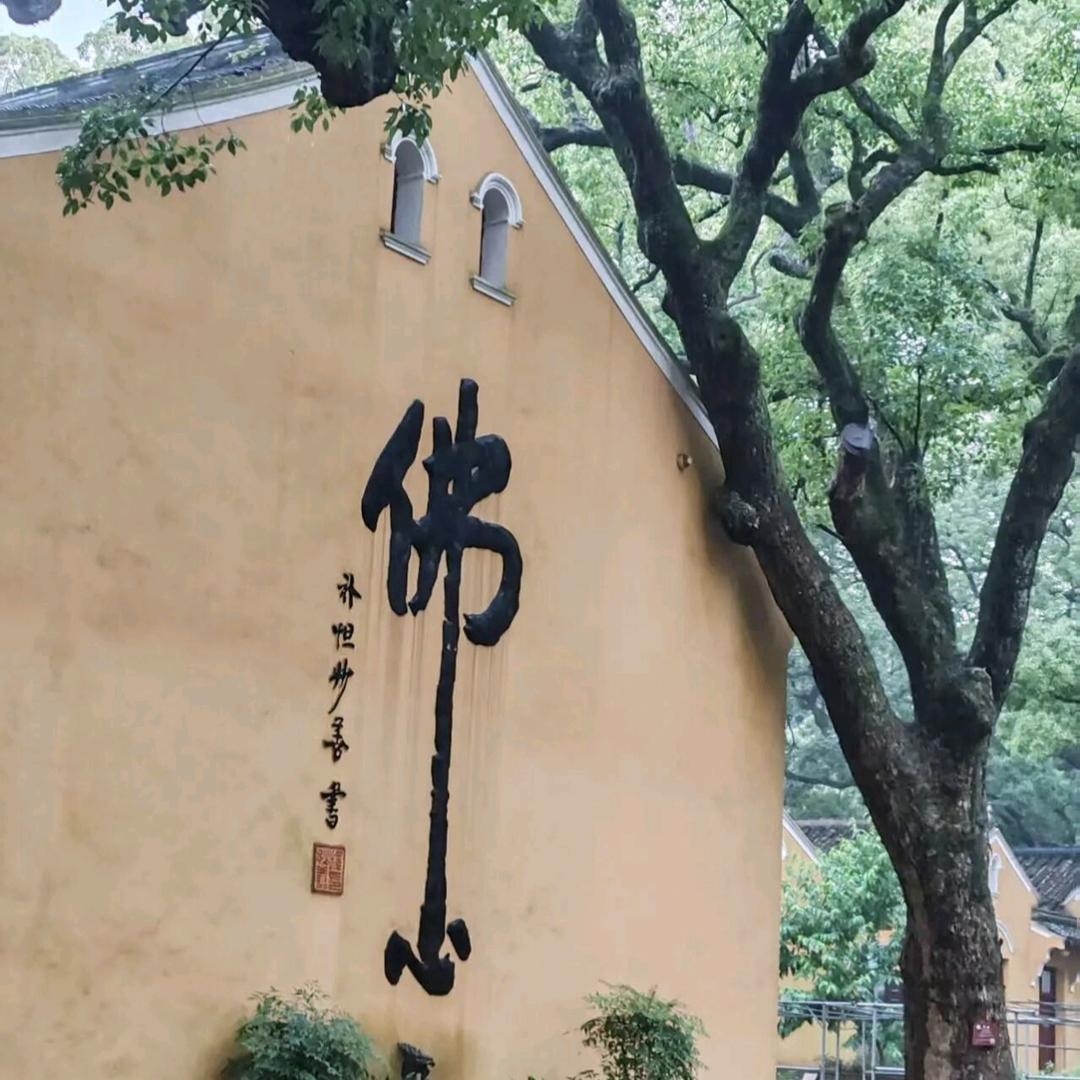 ꦿ໊薄荷加冰᭄ꦿᩚ٭
