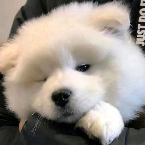 嘉欣★