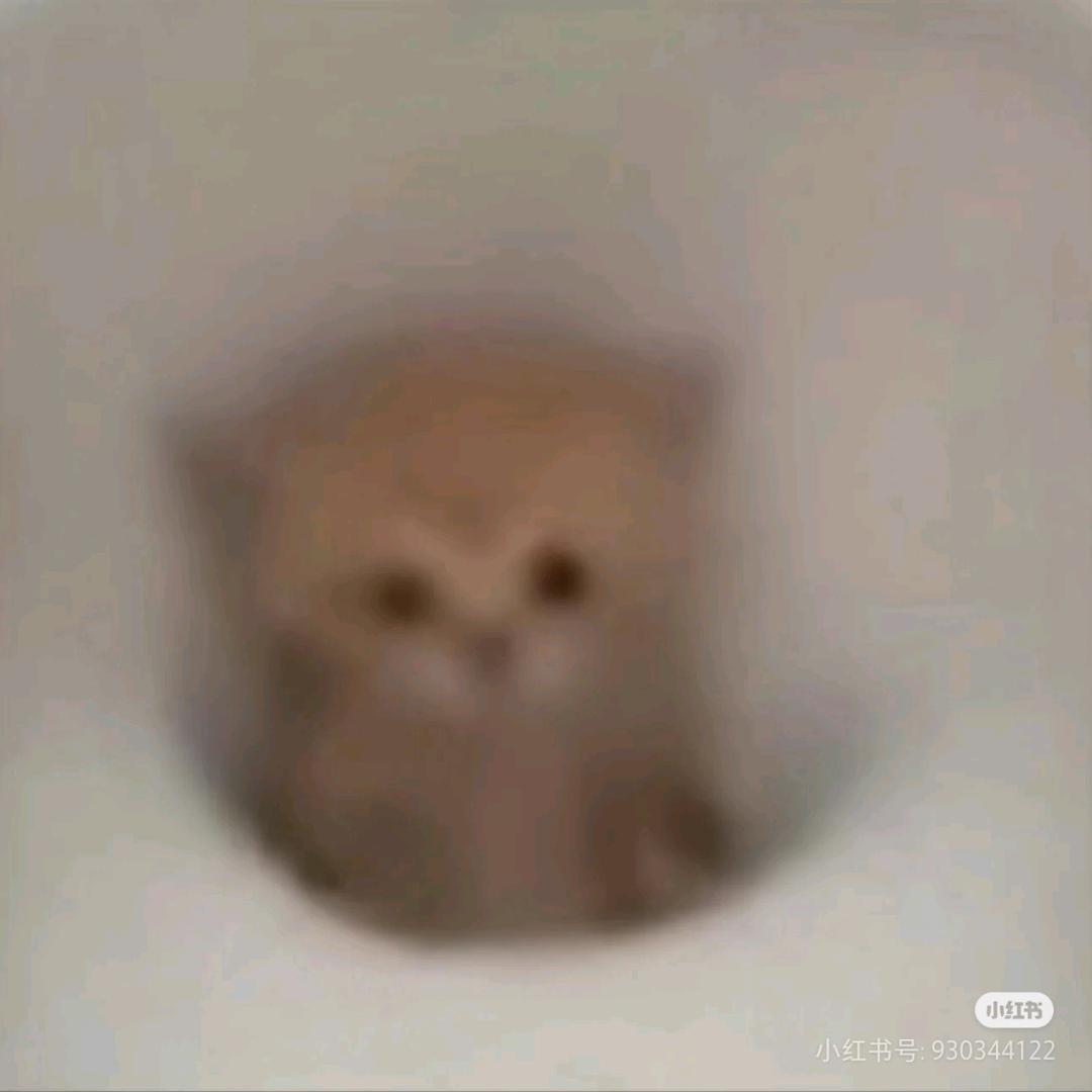 奶茶店在逃椰椰