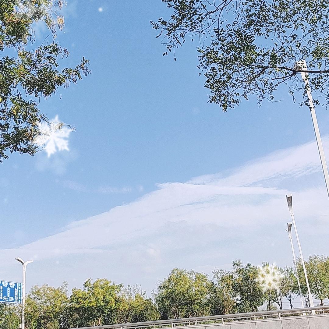 先投上河序张玉鹏