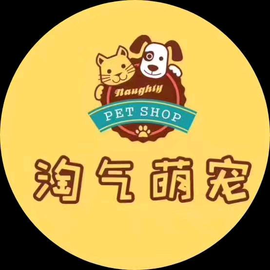 淘气萌宠寄养-训练