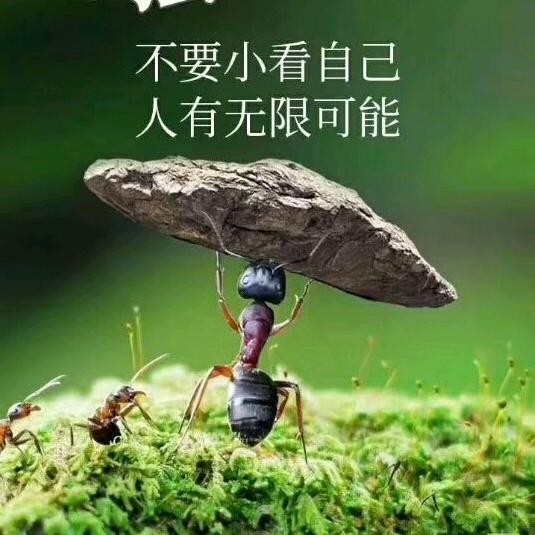 春风里张亮