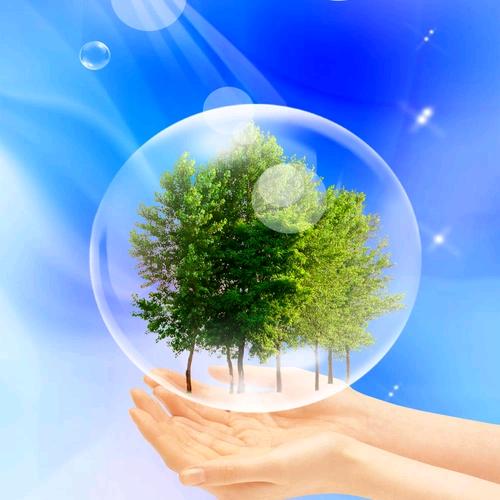 小树🌲摘镜日记