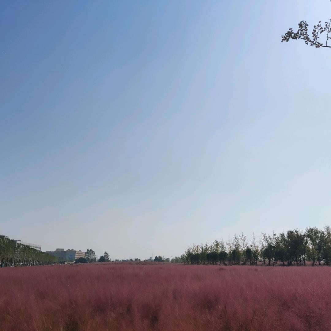 练手（王者变现）