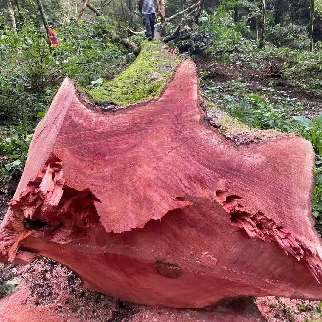 新华乡老黄建材，雕刻，本地椿木装修板