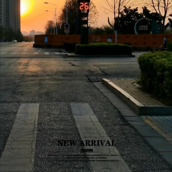 鱼鱼鱼