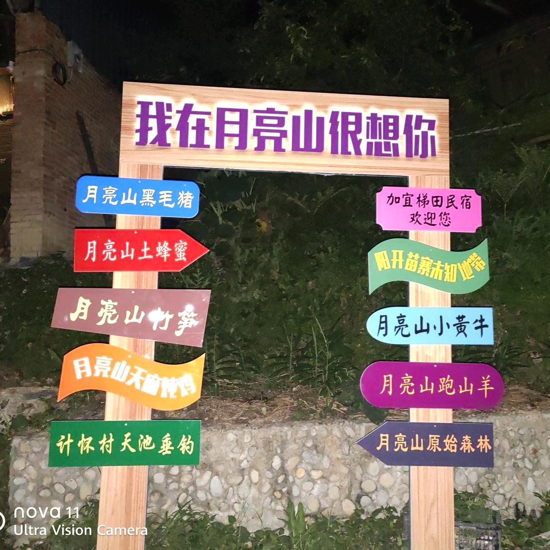 明月下西楼