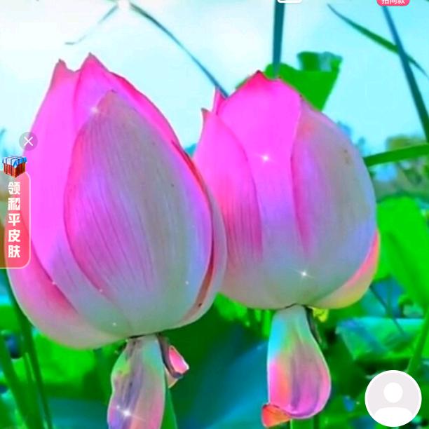 斌