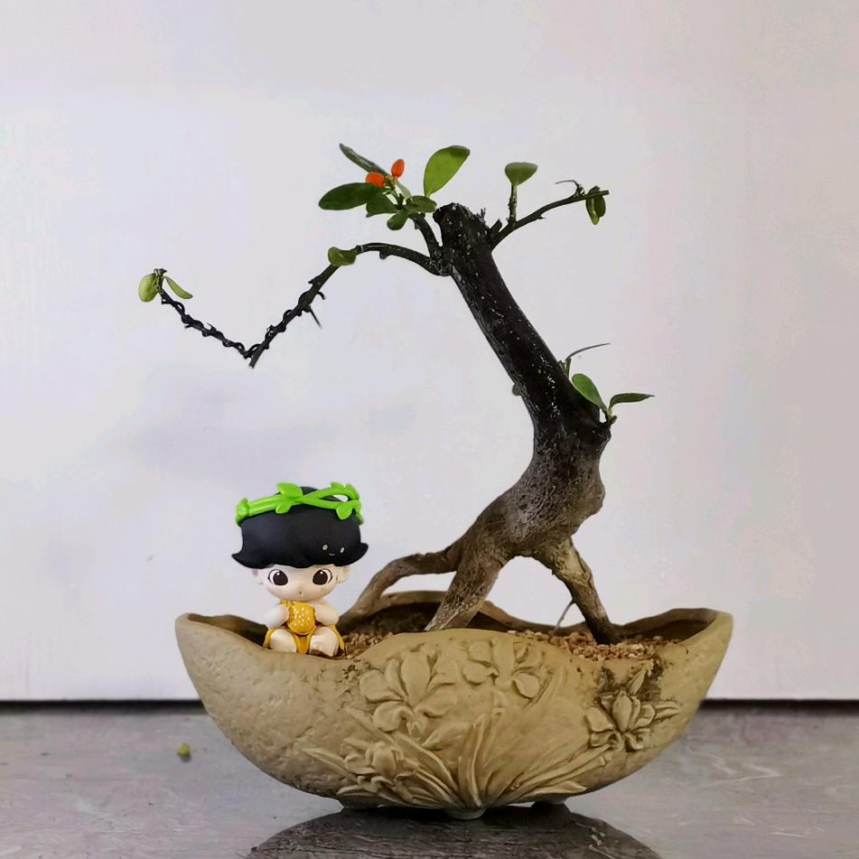 清风吟月