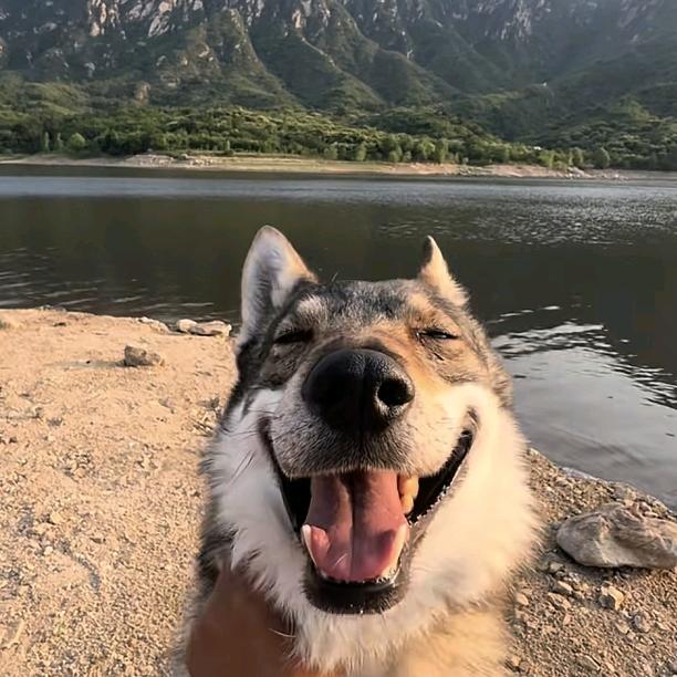山咔咔洗地机