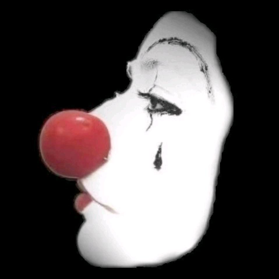 象公