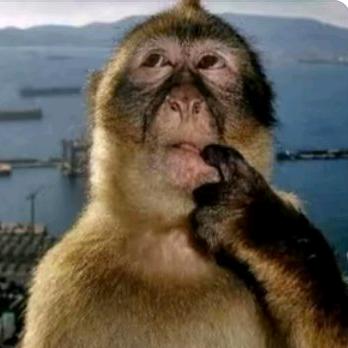 别逼斧子学建模