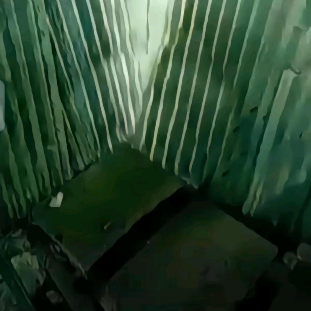 魂得净骨得埋