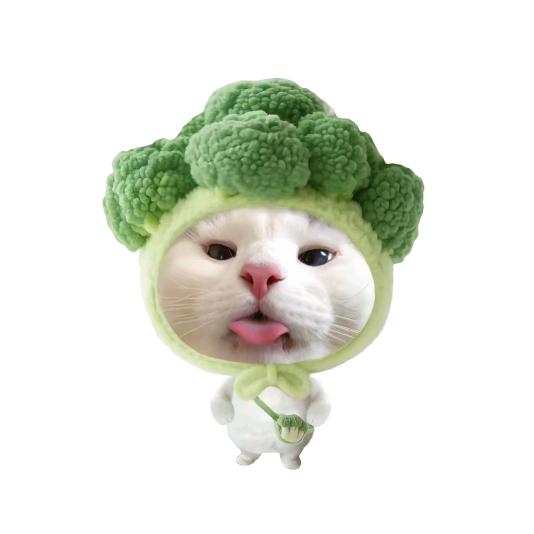 飞走的西兰花