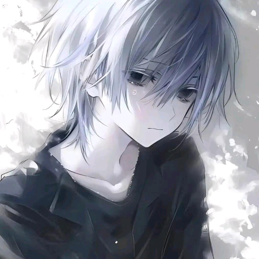 伺月听星头像