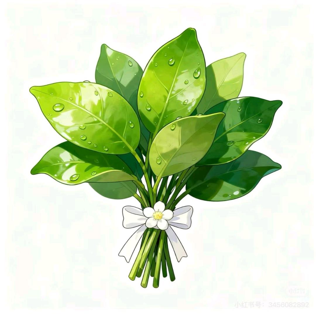 ღ᭄梓俄澤დ᭄