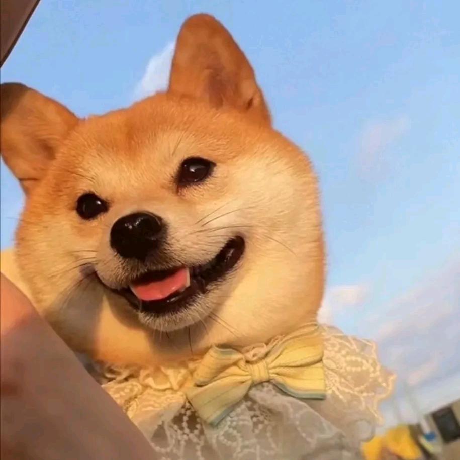 。！。。。