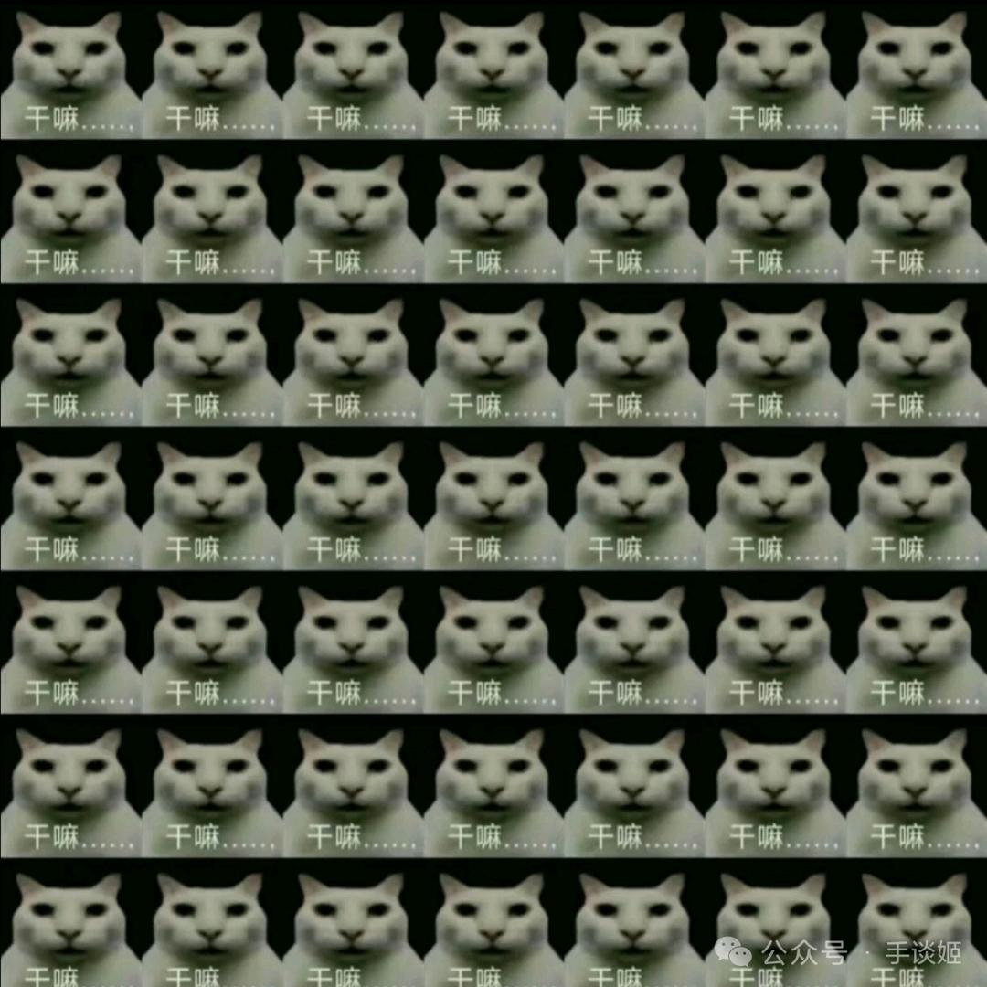 青瓷（喜欢美的）