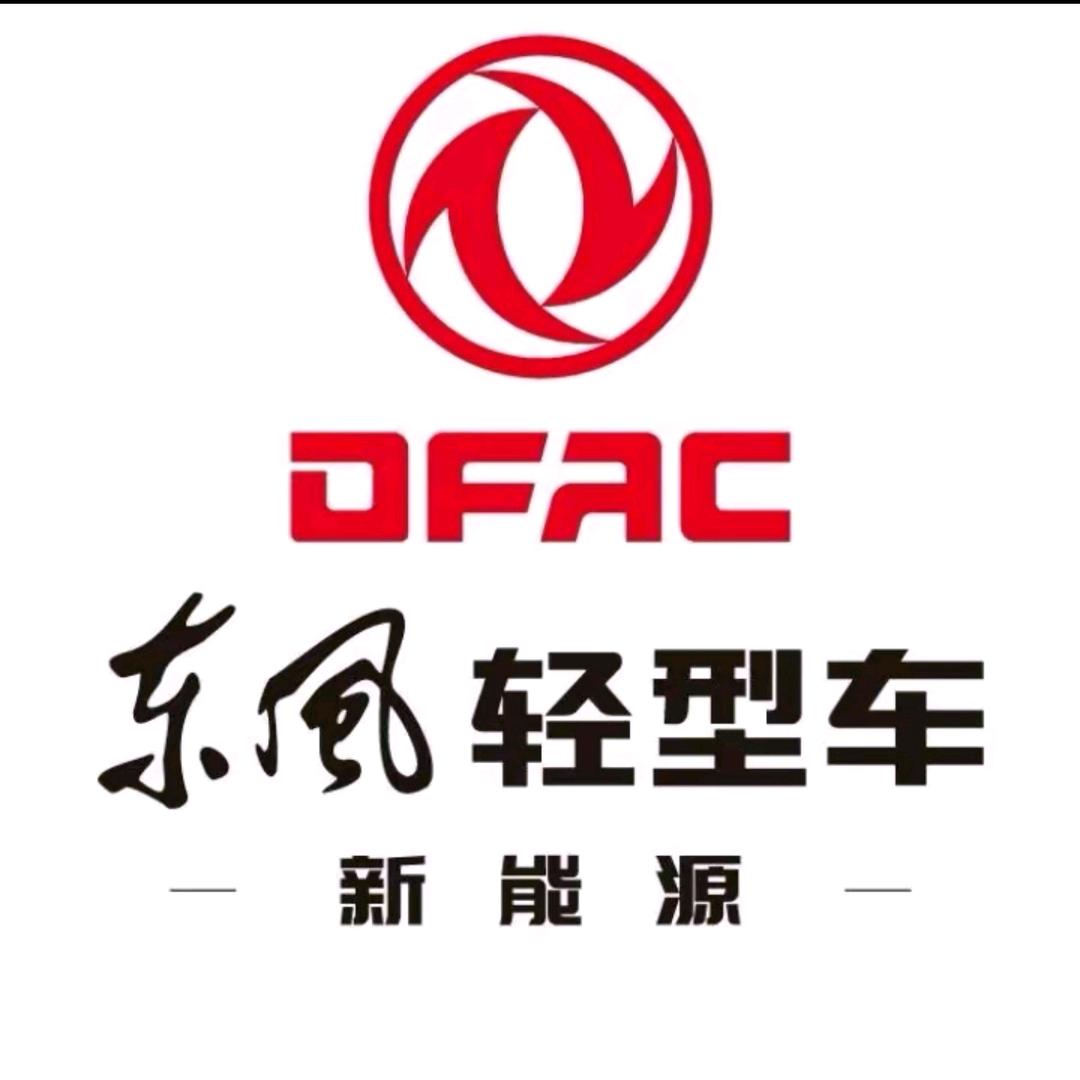 淄博龙狮新能源商用车