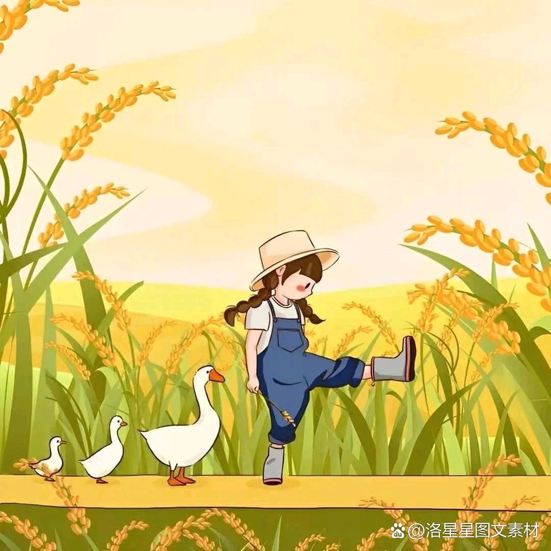 Yan＠＠仰望天空