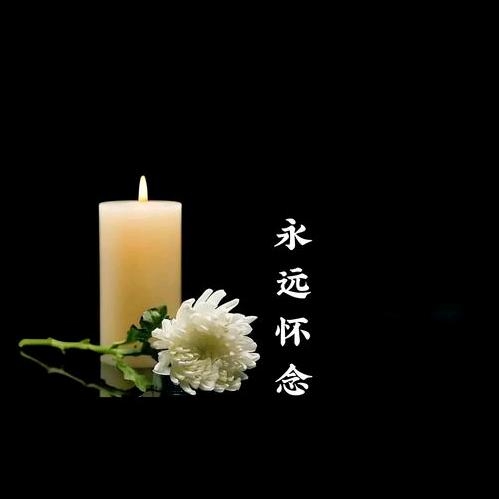 ۵🐰₁₉₈₇许꧔ꦿ້໌࿐《禁止连赞》