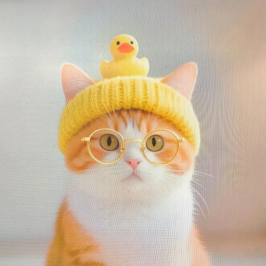 梦想游玩全世界