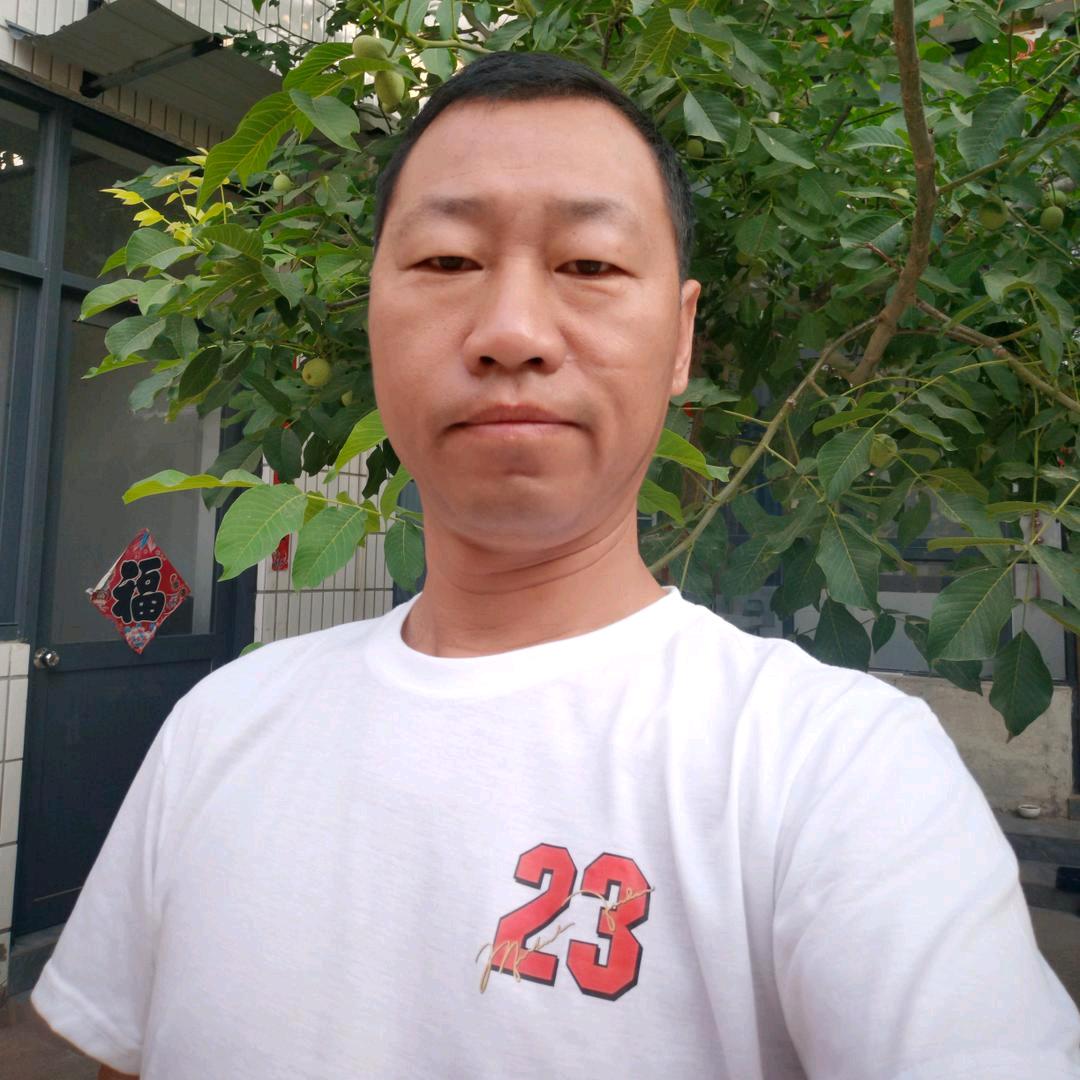 随心所欲