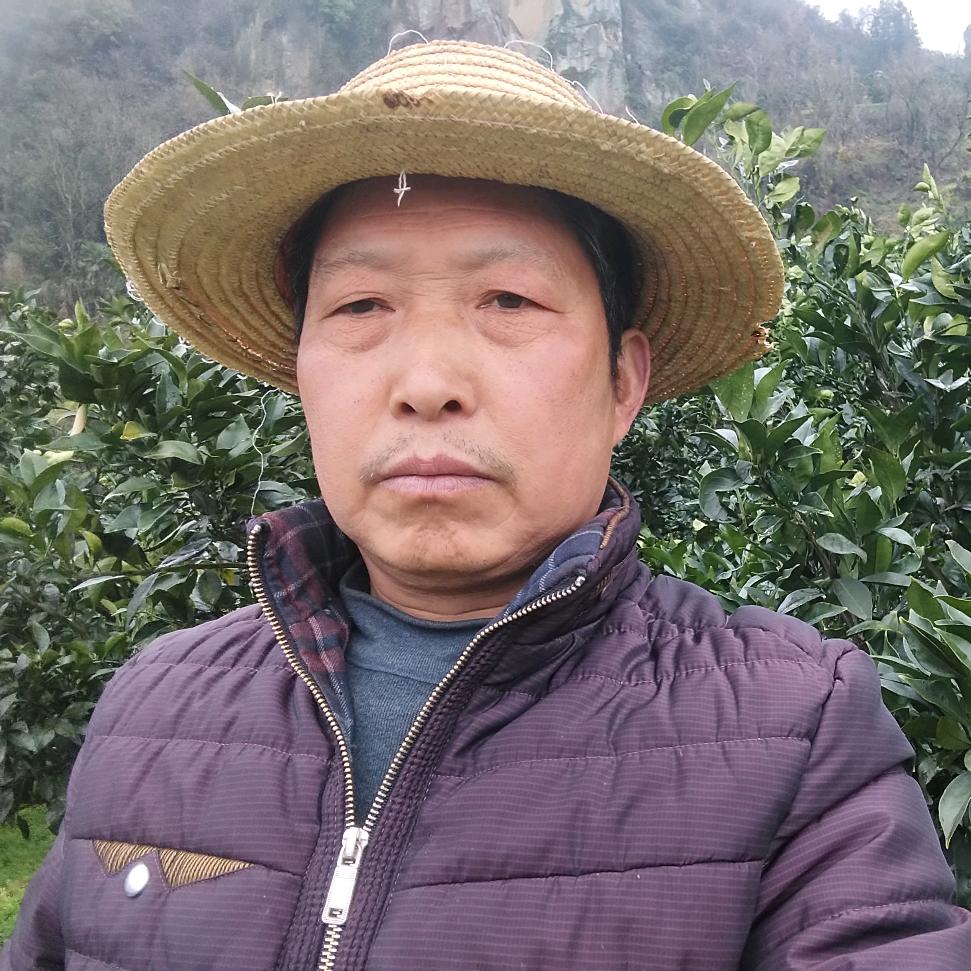 农爷一号