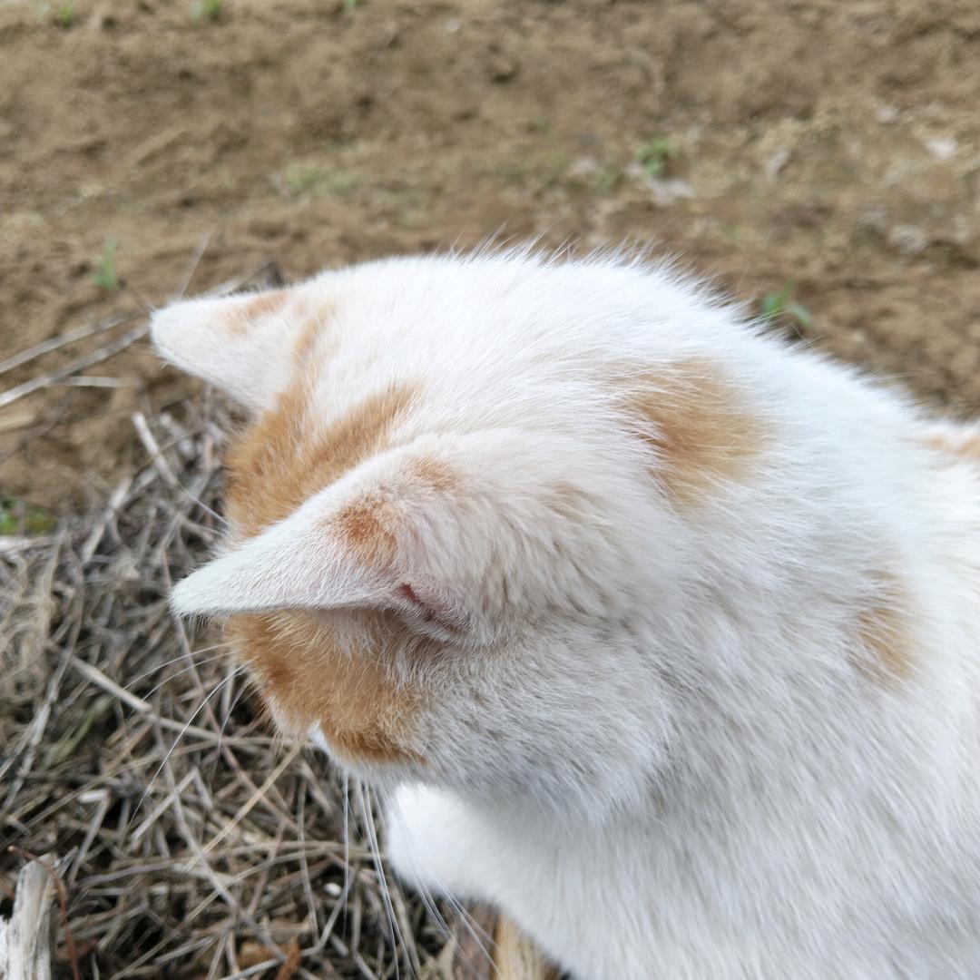 顺其自然