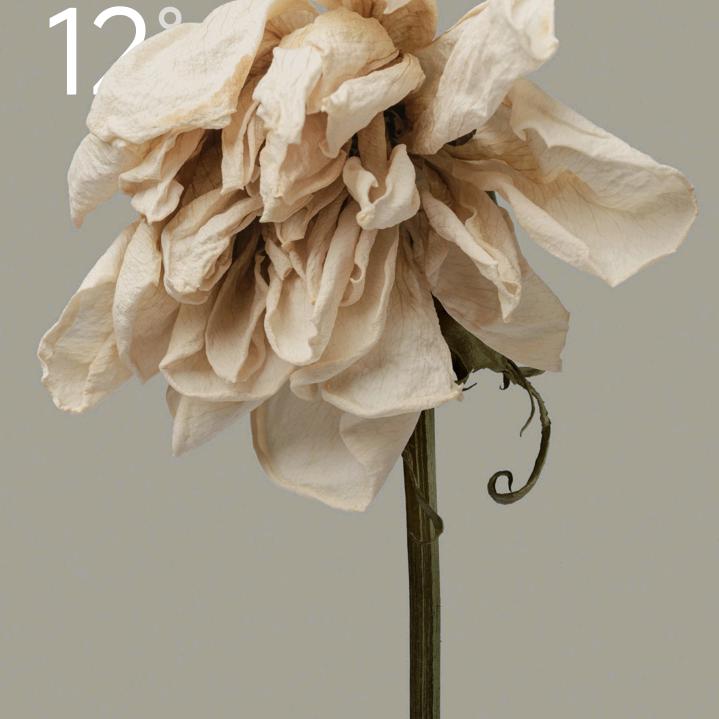 牛牛🐮韩宁儿 害羞女生🤭