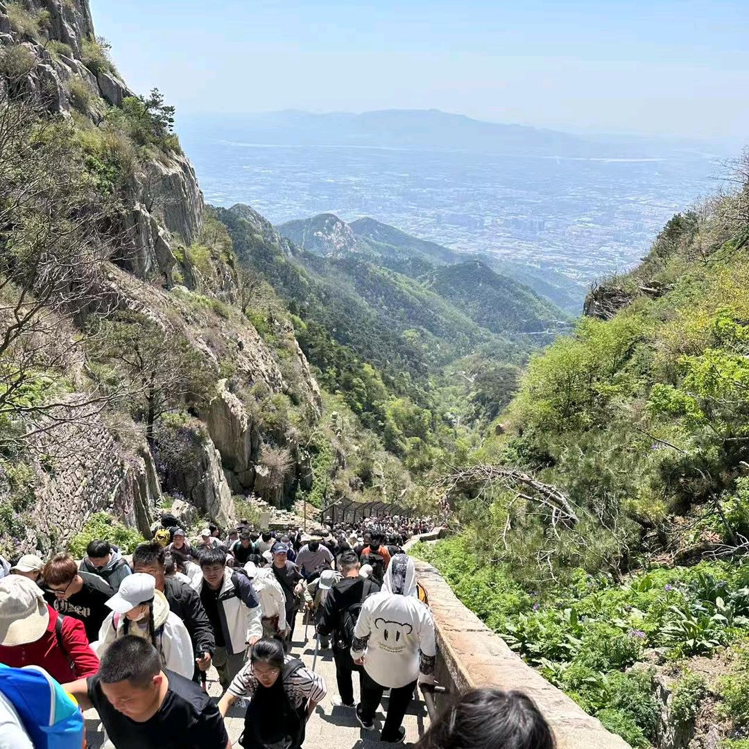 八方来财通通进我兜