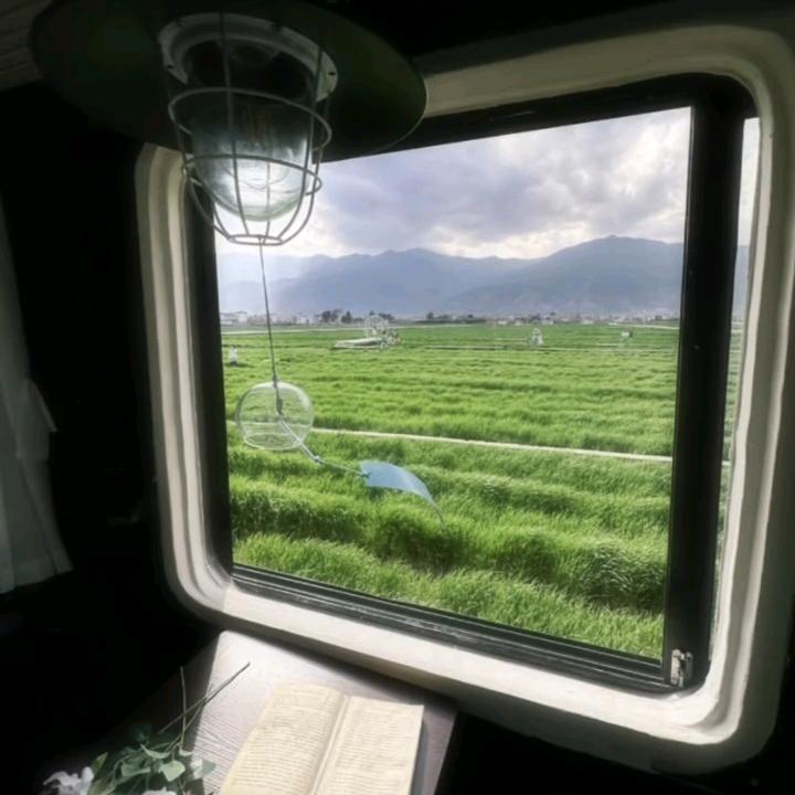 小鱼清清