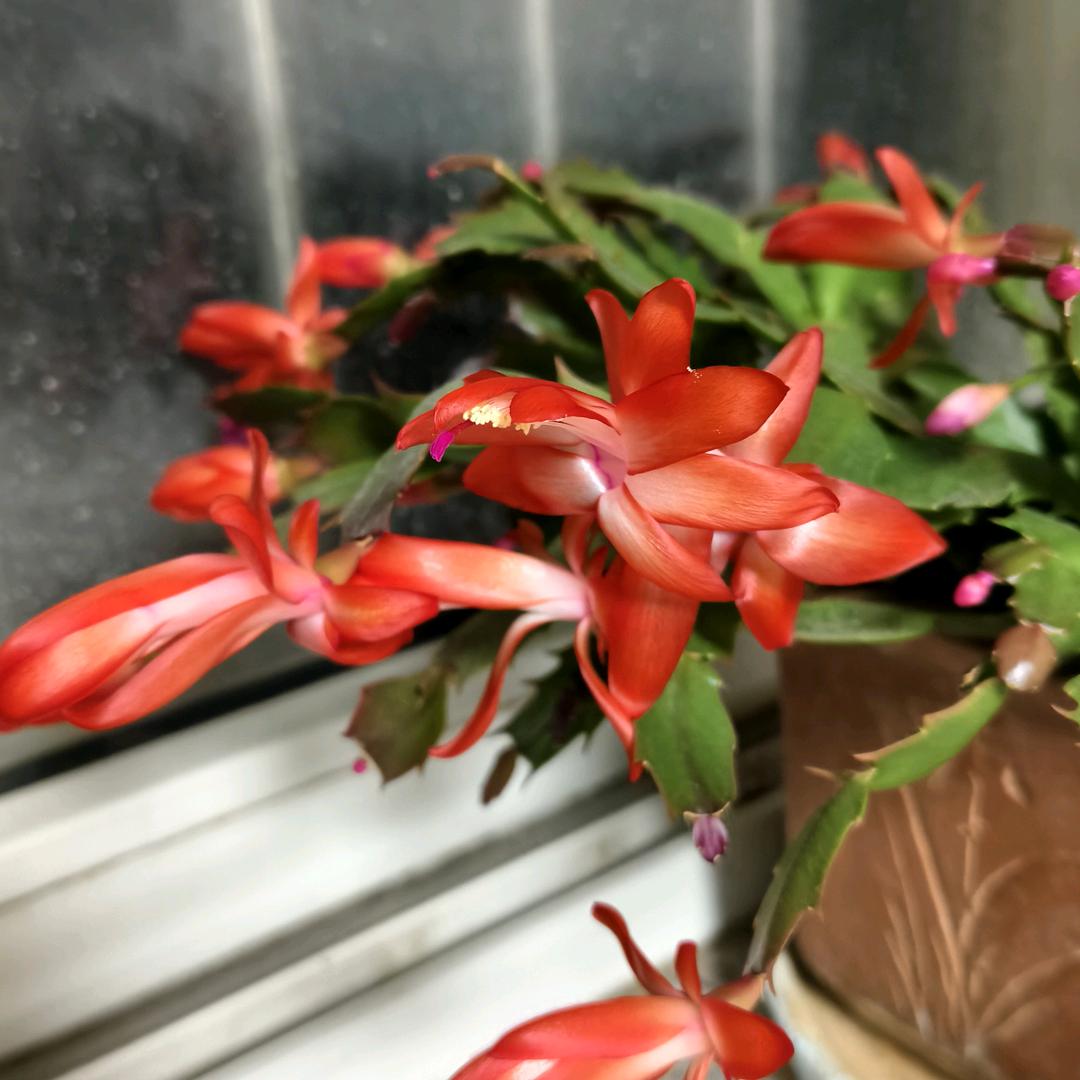 山水依旧2之杨姐百货店