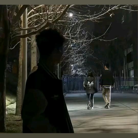 假书生