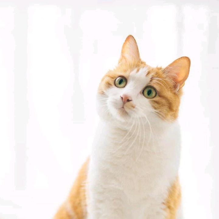 现实中的我