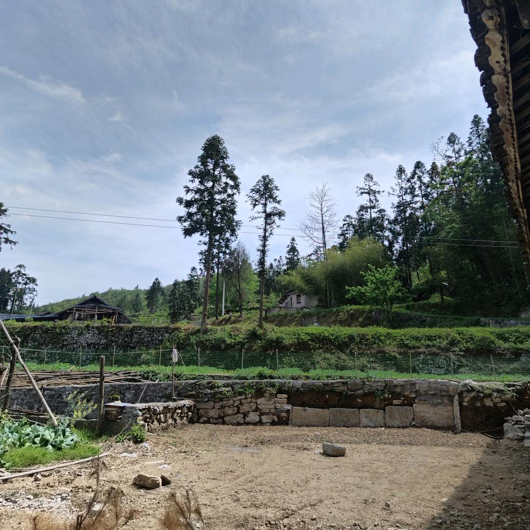冯师傅代驾