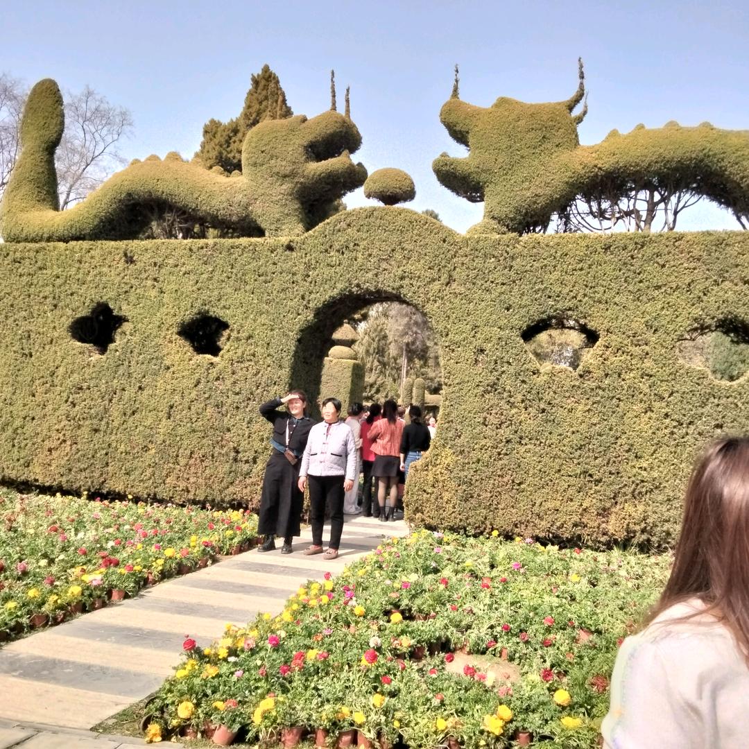小琴