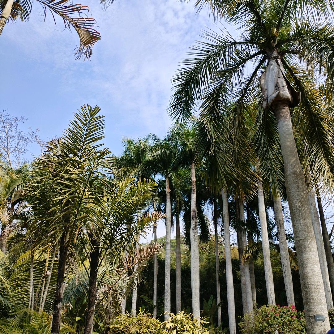 好运相伴