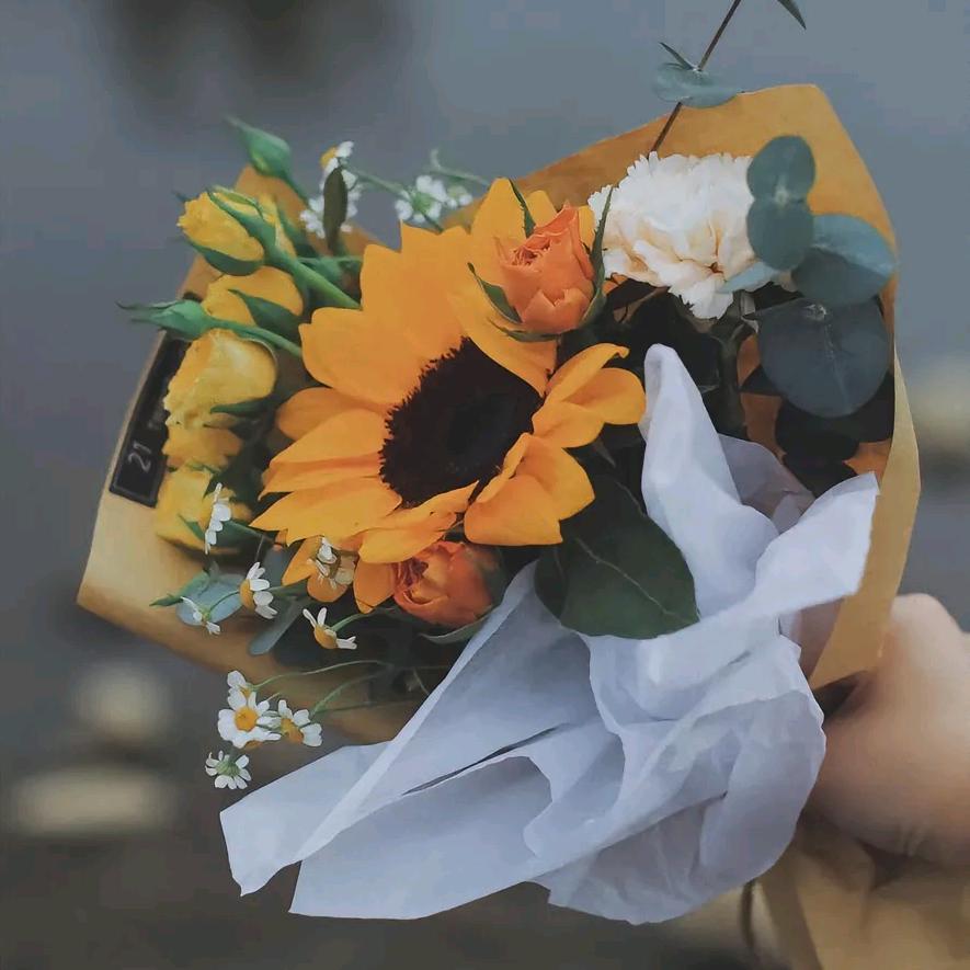 ℳঞ ໌້ᮨ烟花肆意꧔ꦿ᭄²º²⁵