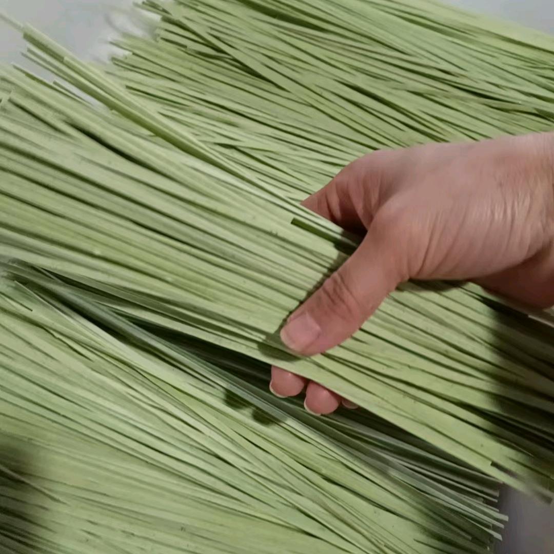 一日三餐🍽️(＾▽＾)