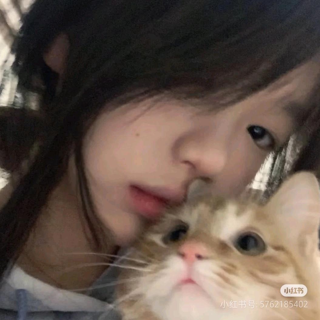🌷悸苒苒🌷