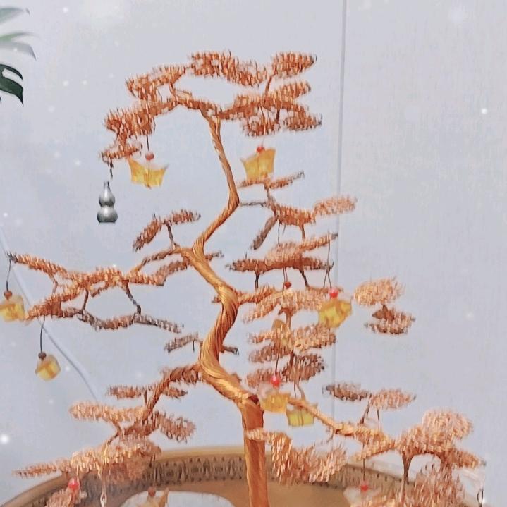 人到中年