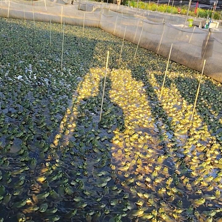 唯一的执着