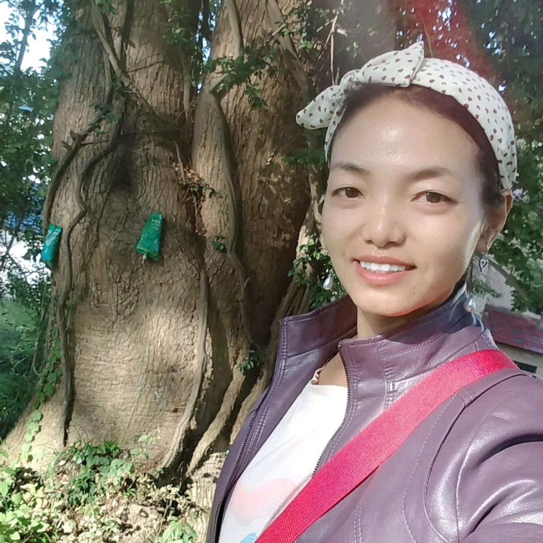 龙梅
